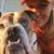 Karrie Woods-Connely's profile image