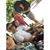 Rene Corbala Olguin's profile image