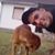 Rade Pesic's profile image