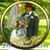 April L Stanko's profile image