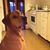 Andreas Westling's profile image