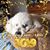 Deb Churchwell's profile image