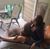 Melissa Morganti's profile image