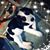 Veronica Klosiewski's profile image