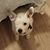 Shelly Gross's profile image