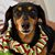 Laurel Walker's profile image