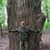 Jared Caruso's profile image