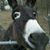 Jason Archer's profile image