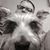 Ryan Dorrell's profile image