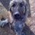 Nicole Bloch's profile image
