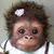 Sheri Nielson's profile image