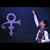 Melissa Parducci Gore's profile image