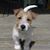 Jeff Venner's profile image