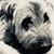 Susan Berger's profile image
