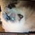 Jodi Doney's profile image