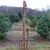 Jenn Knobbe Barton's profile image
