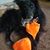 DDog Cansky's profile image
