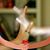 Conie Martinez's profile image