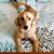 Cindy Rice's profile image