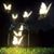 Twala V Gann's profile image