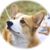 Betty M Clewis's profile image
