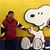Tommy Zhang's profile image