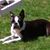 Lynda Sheaffer Reiber's profile image