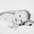 Kimberly Virden's profile image