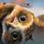 Kris Scarberry's profile image