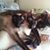 Madeleine Ward's profile image