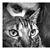 Elodie Manzoni's profile image