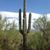 Kristy Pope Munden's profile image