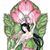 Debbie Dohnal's profile image