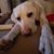 Stacy Vander Velden's profile image