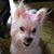 Armetta Murdic's profile image