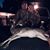 Brittany Ann Epps's profile image