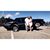 Yvette A Rubalcava's profile image