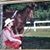 Mary Dupree's profile image