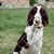 Pam Phillips's profile image