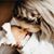 Caryn Dawn's profile image