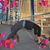 Linda Kozacki's profile image