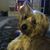 Mike Kip's profile image