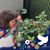 Terrie Mullican's profile image