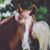 Jamie Underwood's profile image