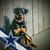 Felipe Rodriguez's profile image