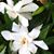 Karen Seefeld Hill's profile image