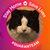 Nicole Dequattro-Bird's profile image
