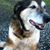 Nancy Giovannetti's profile image