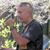 Dave Waugh's profile image
