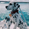 Derick P.'s profile image